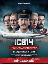 IC 814: The Kandahar Hijack